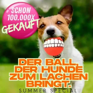 Squeaky Ball für Hunde