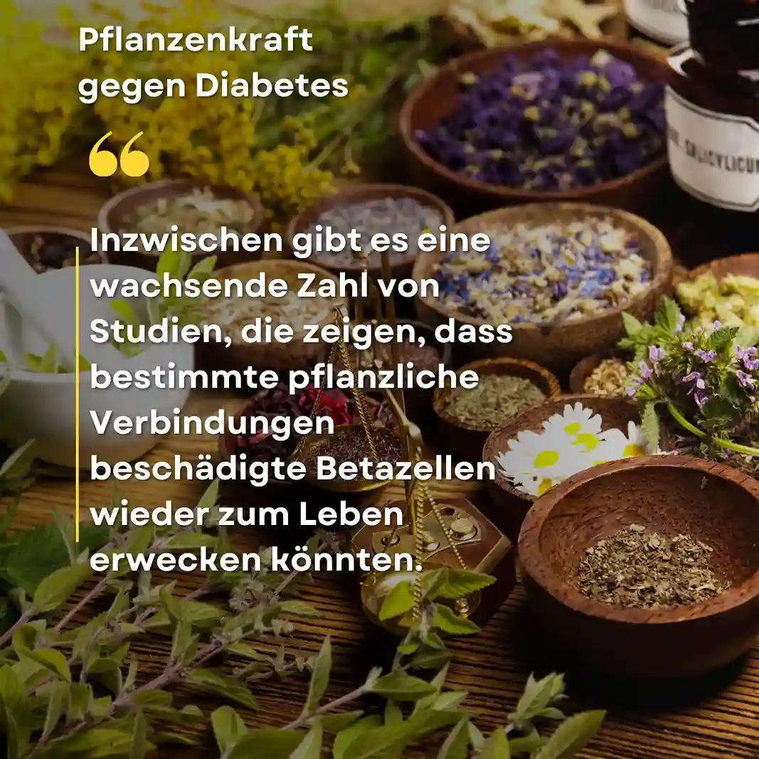 Entzündungen