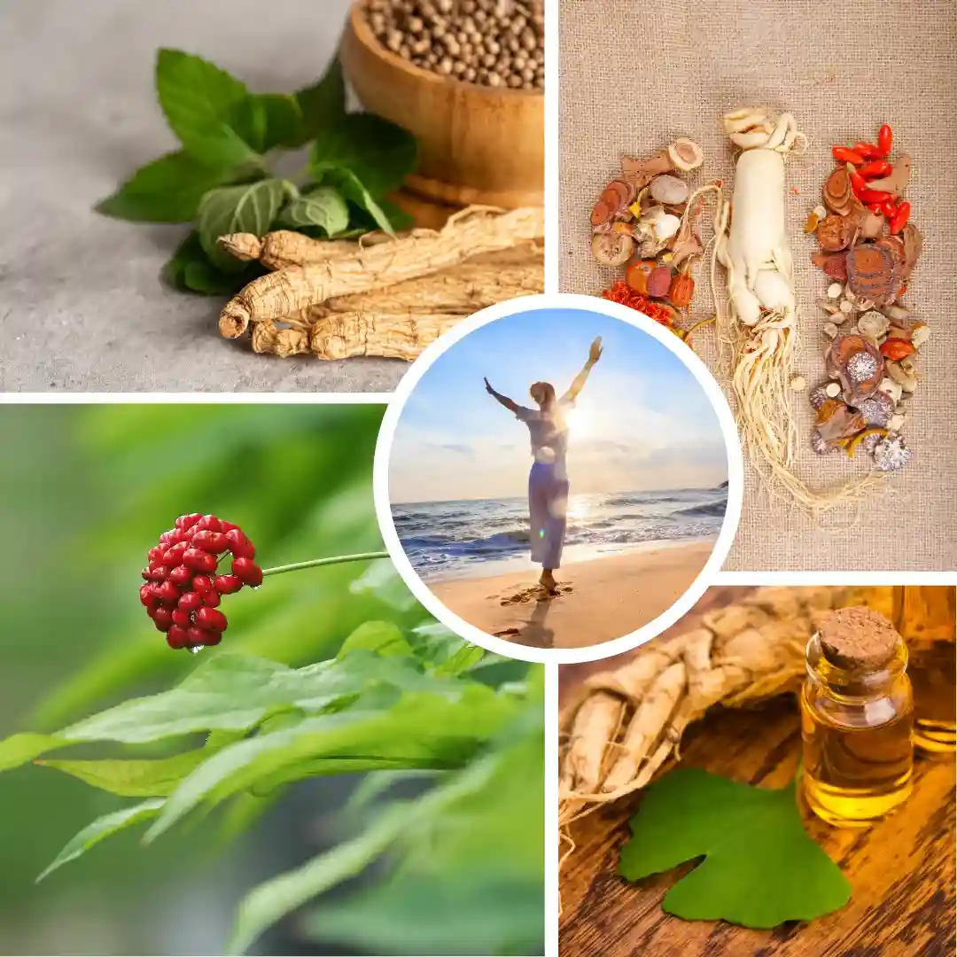 ginseng