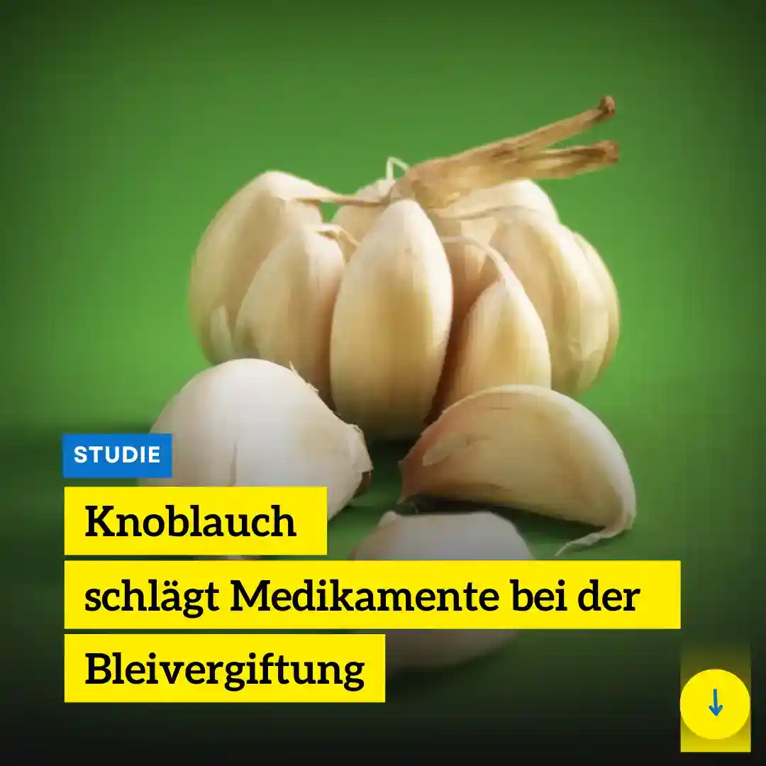 Knoblauch schlägt Medikament