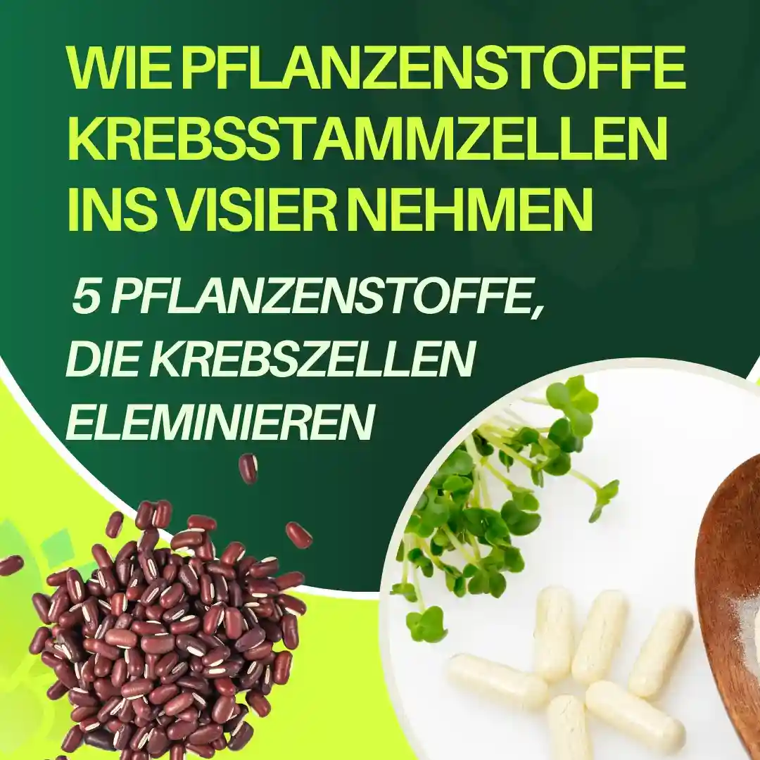 Pflanzenwirkstoffe gegen Krebsstammzellen