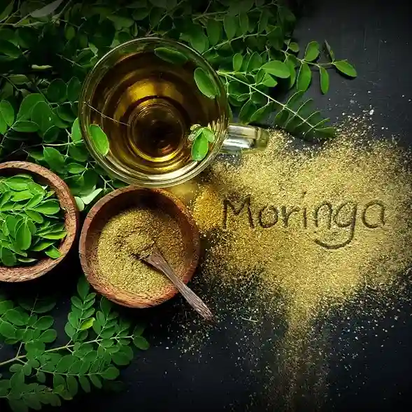 moringa